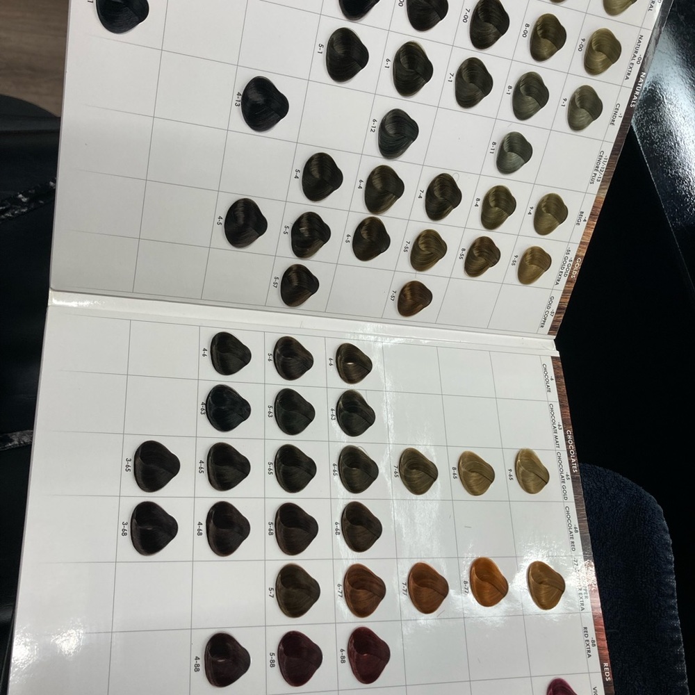 Schwarzkopf swatch book